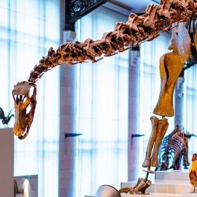 Tourism & Hospitality